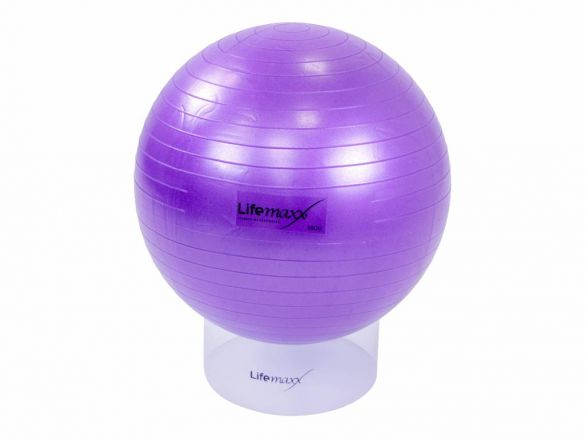 partij Dakraam Vast en zeker Lifemaxx Gymbal 55 cm paars LMX 1100.55 kopen? Bestel bij fitness24.nl